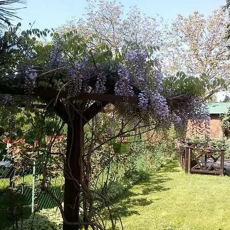 Rajski Vrt بيت خشبي