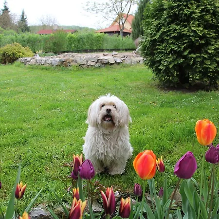 بيت خشبي Rajski Vrt