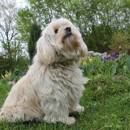 بيت خشبي Rajski Vrt فردنيك