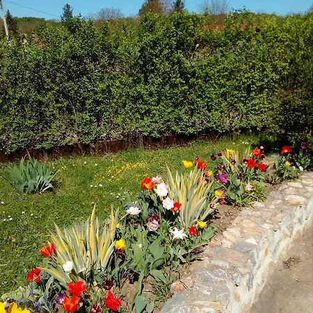 Rajski Vrt بيت خشبي فردنيك